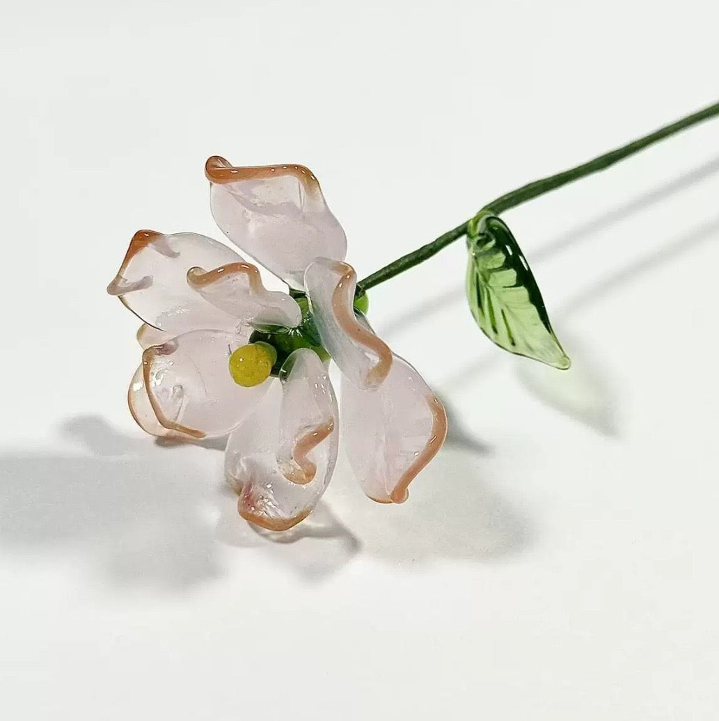 Birthlight Glass Garden — DIY Bouquet