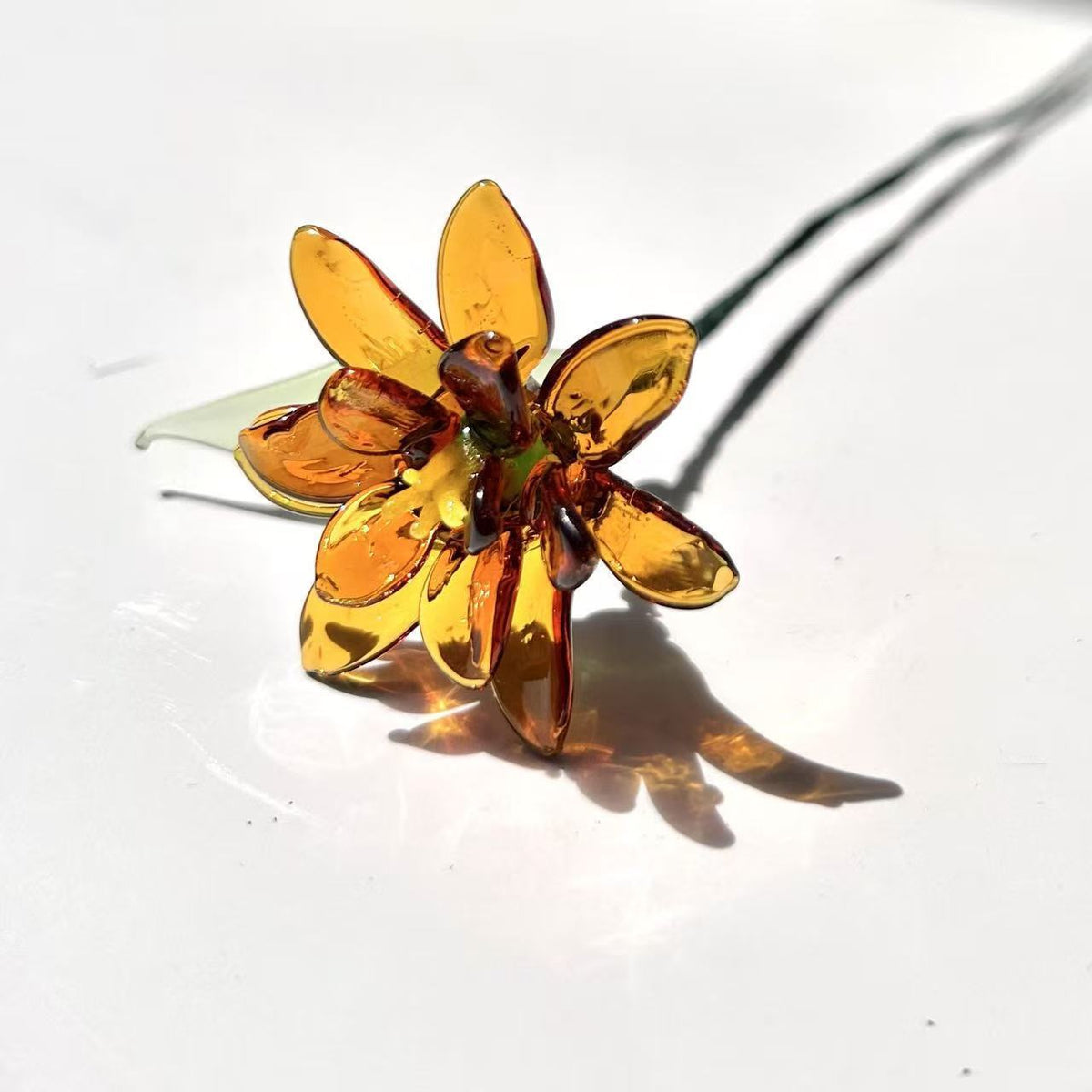 Birthlight Glass Garden — DIY Bouquet