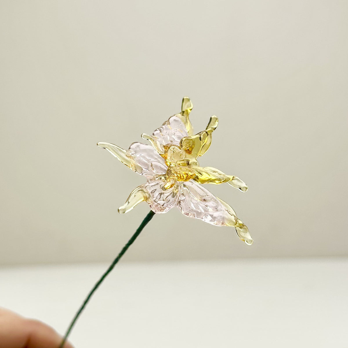 Birthlight Glass Garden — DIY Bouquet