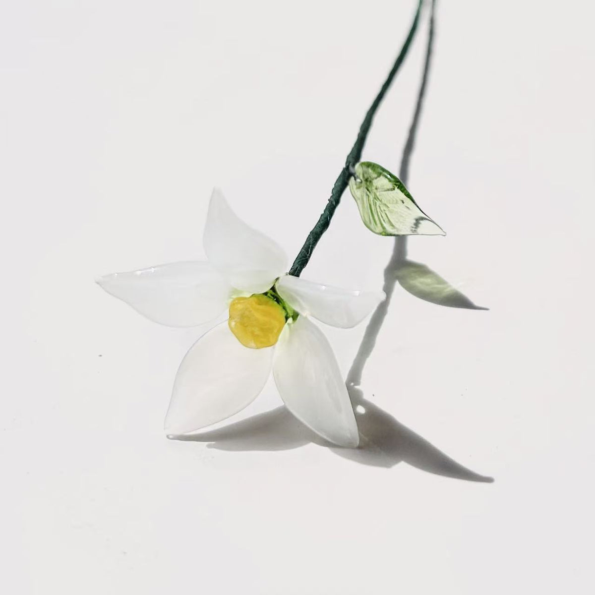 Birthlight Glass Garden — DIY Bouquet