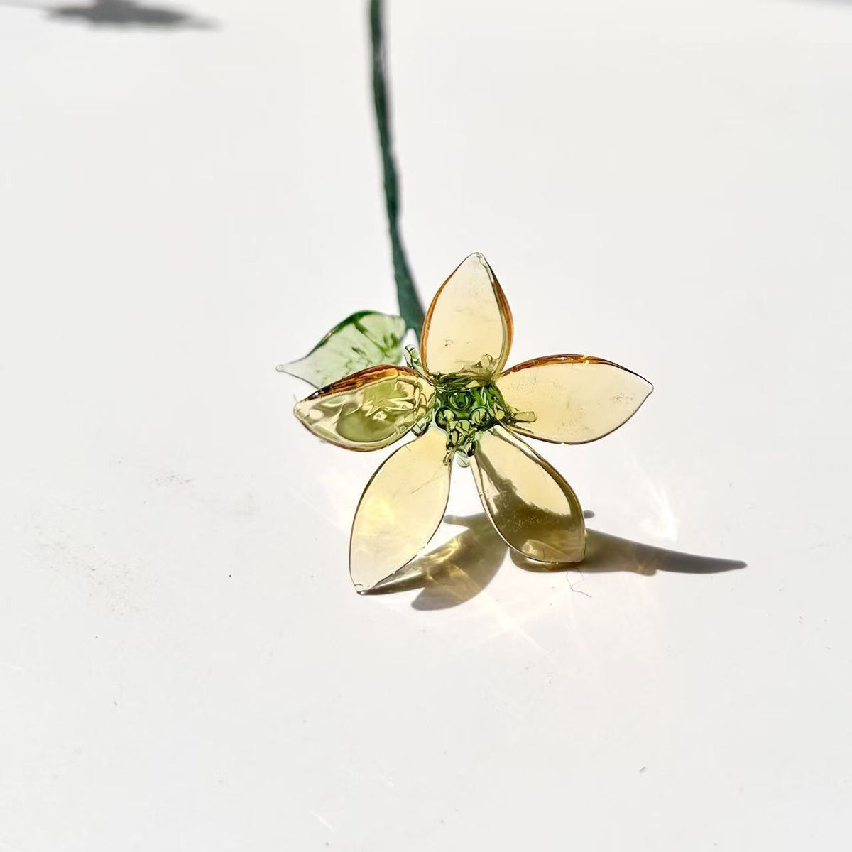Birthlight Glass Garden — DIY Bouquet