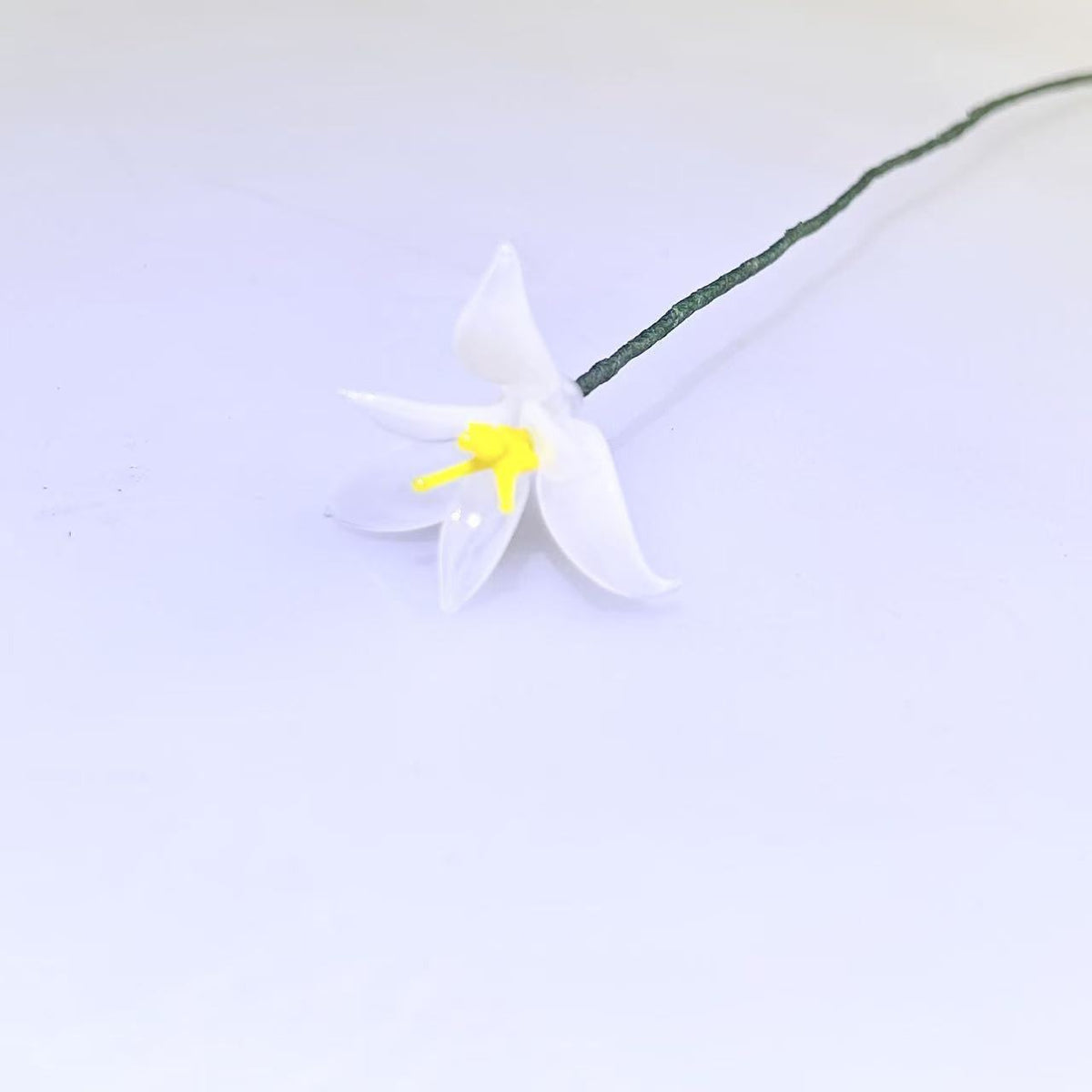 Birthlight Glass Garden — DIY Bouquet